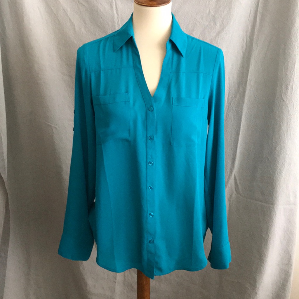 Express Collared Button Down Blouse